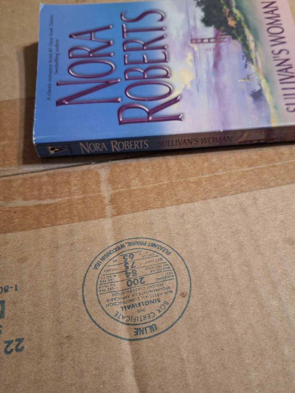 Sullivan's Woman - Picture 2 of 5
